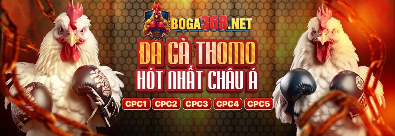 Đá Gà Trực Tuyến typhu88 info