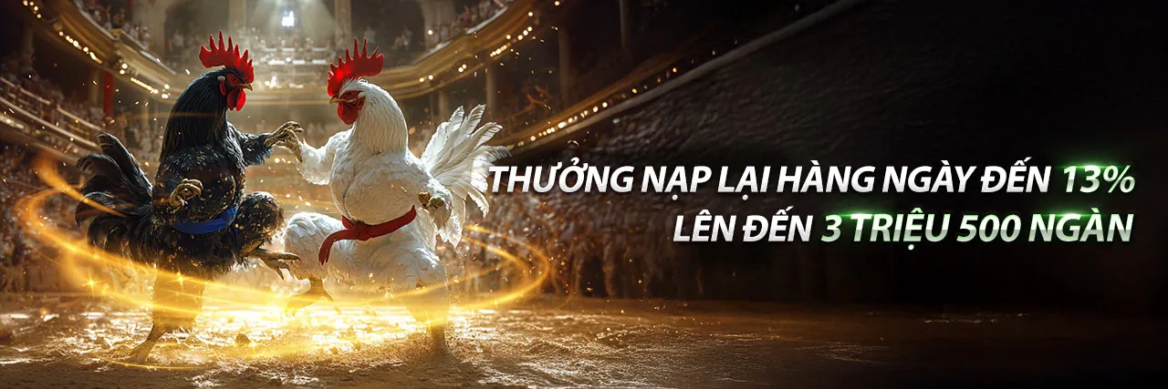 Chính sách Quyền riêng tư typhu88 info